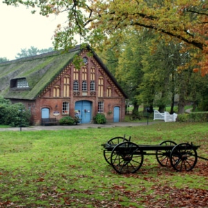Altes Bauernhaus im Grünen mit einen alten Pferdewagen im Vordergrund